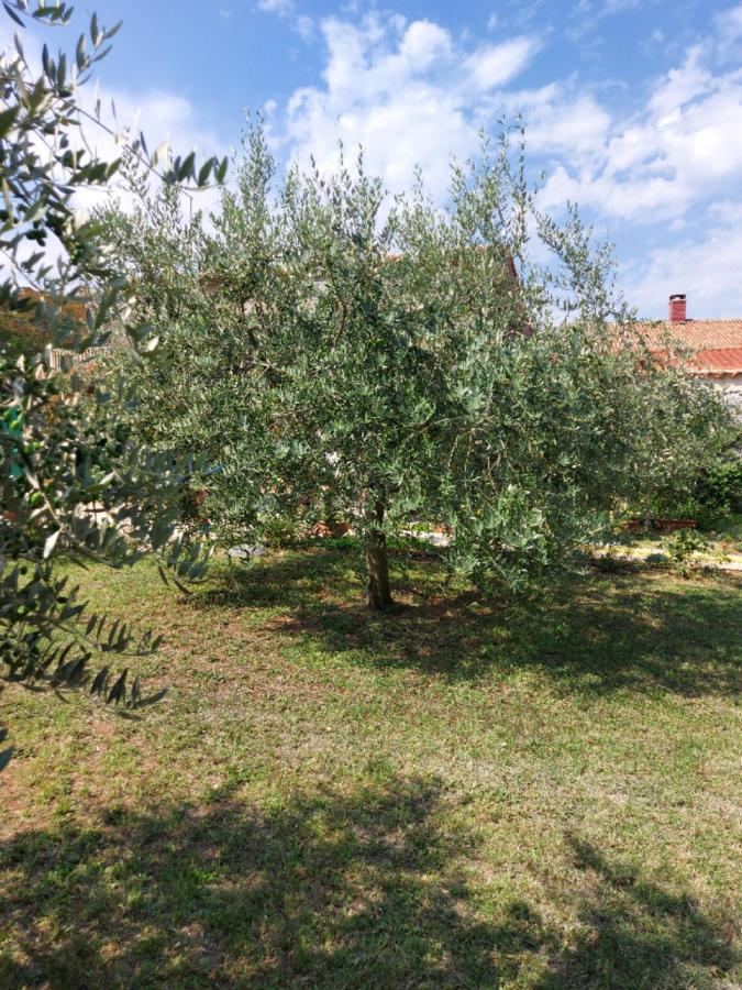 Apartments Marija Umag Luaran gambar