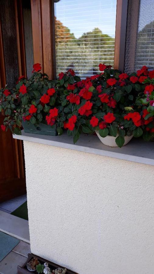 Apartments Marija Umag Luaran gambar