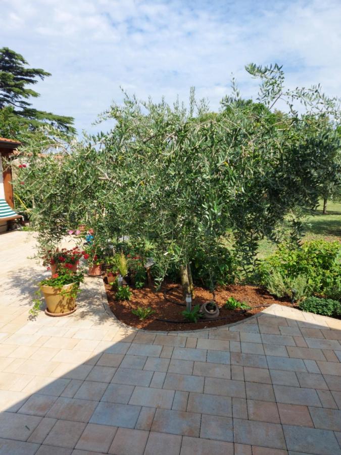 Apartments Marija Umag Luaran gambar